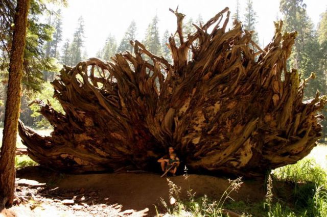 morning picdump 52 pics 24.html - 52 HD Photos | Premium Gallery 2012