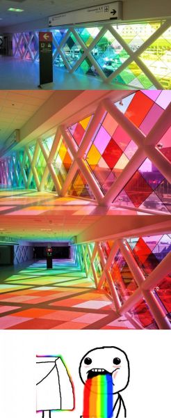 morning picdump 52 pics 24.html - 52 HD Photos | Premium Gallery 2012