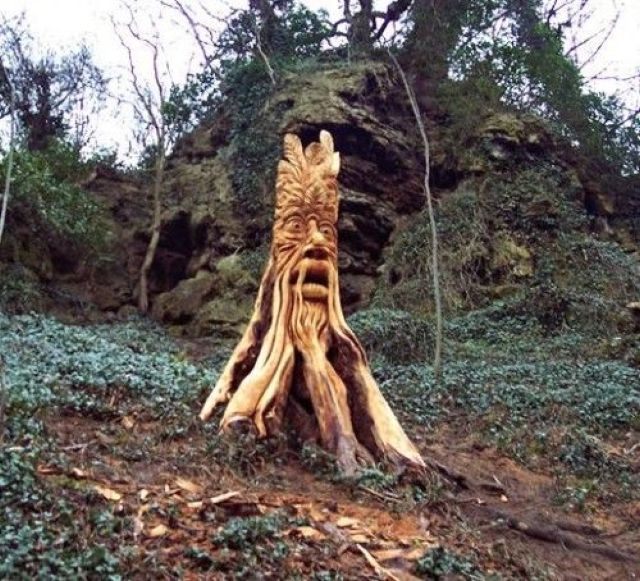 morning picdump 52 pics 24.html - 52 HD Photos | Premium Gallery 2012