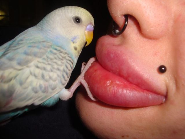 Christina Keeps On Changing Her Appearance