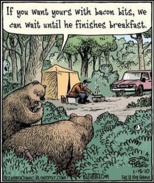 morning picdump 50 pics 21.html - 50 HD Photos | Premium Gallery 2012