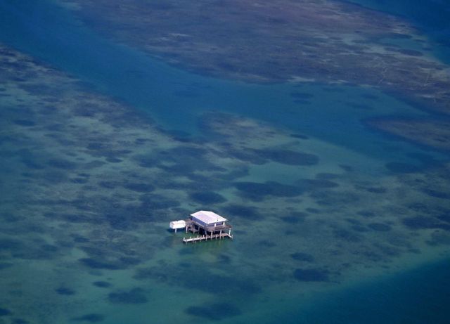 morning picdump 48 pics 9.html - 48 HD Photos | Premium Gallery 2012