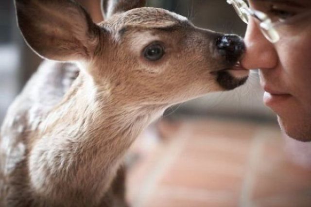 morning picdump 48 pics 9.html - 48 HD Photos | Premium Gallery 2012