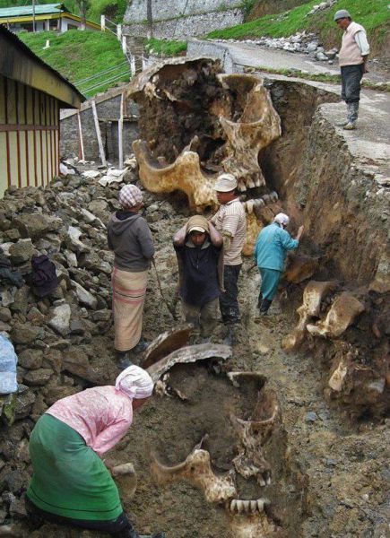 morning picdump 45 pics 1.html - 45 HD Photos | Premium Gallery 2012