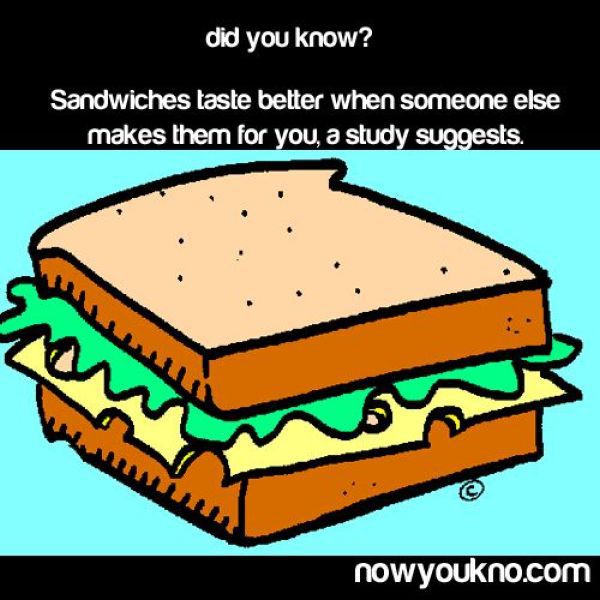 morning picdump 45 pics 1.html - 45 HD Photos | Premium Gallery 2012