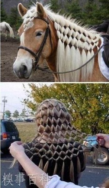 morning picdump 45 pics 1.html - 45 HD Photos | Premium Gallery 2012