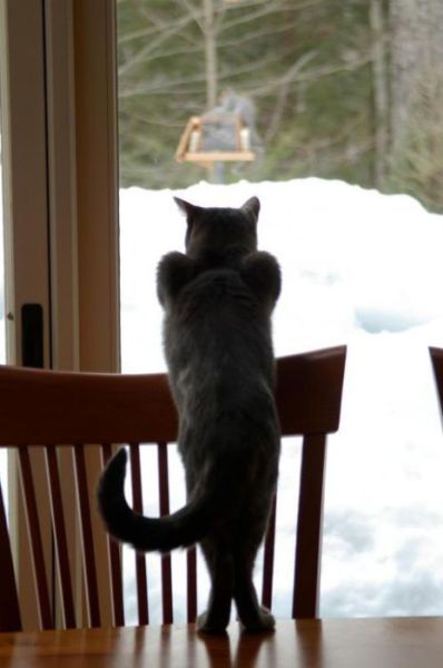 daily picdump 90 pics 12.html - 90 HD Photos | Premium Gallery 2012