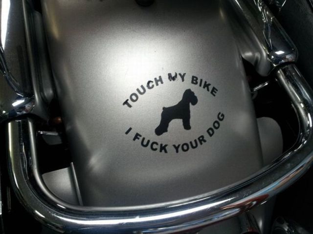 daily picdump 90 pics 12.html - 90 HD Photos | Premium Gallery 2012