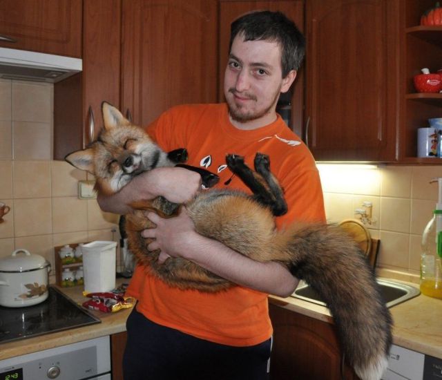 daily picdump 90 pics 12.html - 90 HD Photos | Premium Gallery 2012