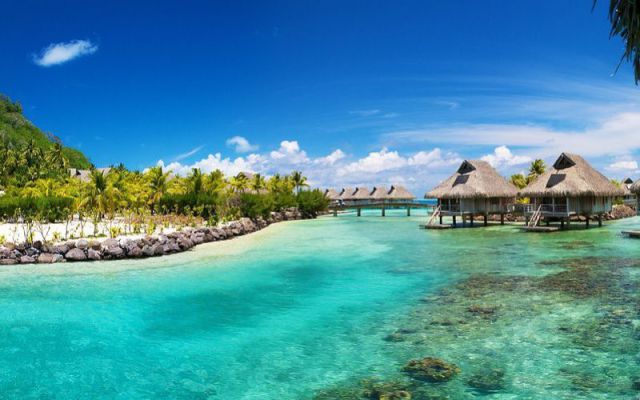 morning picdump 52 pics 34.html - 52 HD Photos | Premium Gallery 2012