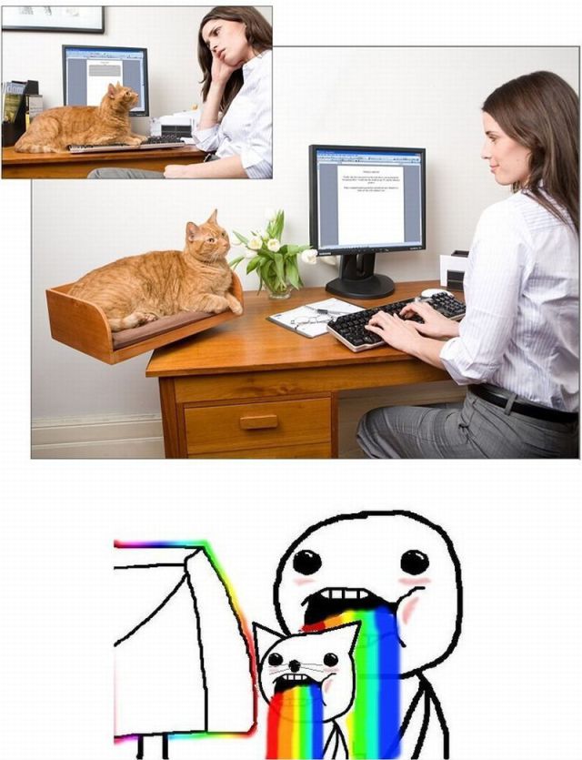 morning picdump 52 pics 34.html - 52 HD Photos | Premium Gallery 2012