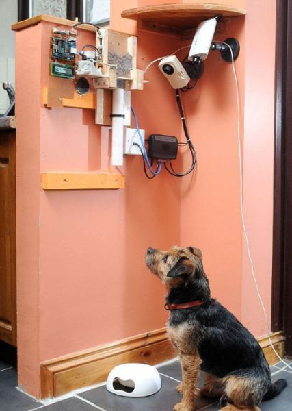 morning picdump 52 pics 10.html - 52 HD Photos | Premium Gallery 2012