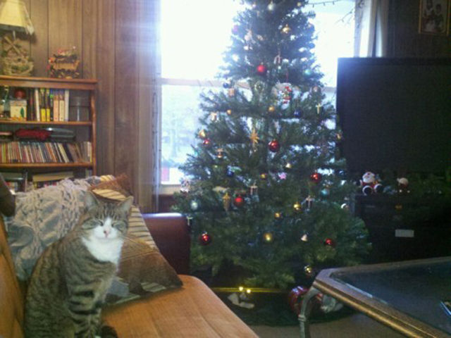 Holy Crap, What’s That? Part 2