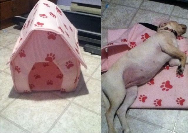 morning picdump 50 pics 10.html - 50 HD Photos | Premium Gallery 2012
