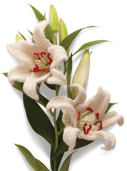 morning picdump 50 pics 10.html - 50 HD Photos | Premium Gallery 2012