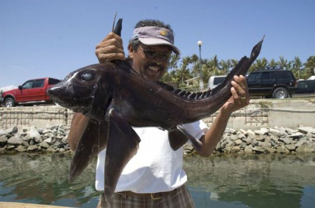 morning picdump 50 pics 10.html - 50 HD Photos | Premium Gallery 2012