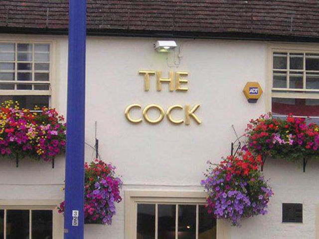 Sexually Suggestive Business Names