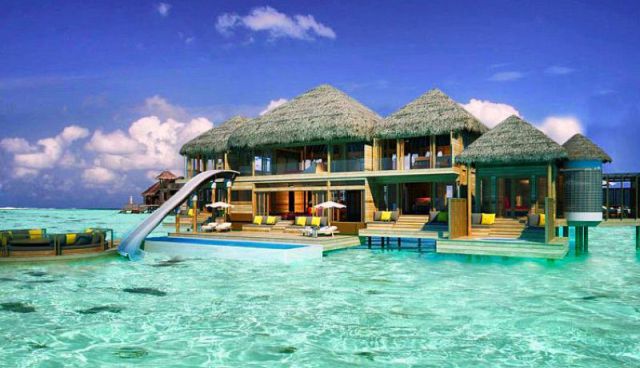 daily picdump 92 pics 15.html - 92 HD Photos | Premium Gallery 2012