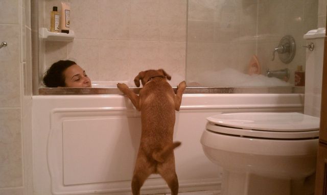 daily picdump 92 pics 15.html - 92 HD Photos | Premium Gallery 2012