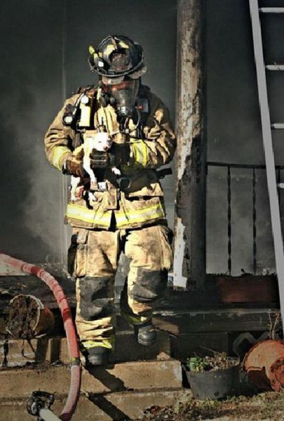 daily picdump 92 pics 15.html - 92 HD Photos | Premium Gallery 2012