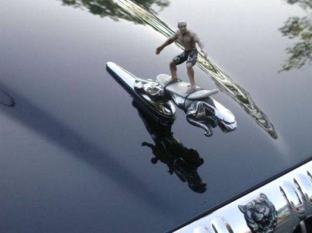 morning picdump 50 pics 18.html - 50 HD Photos | Premium Gallery 2012