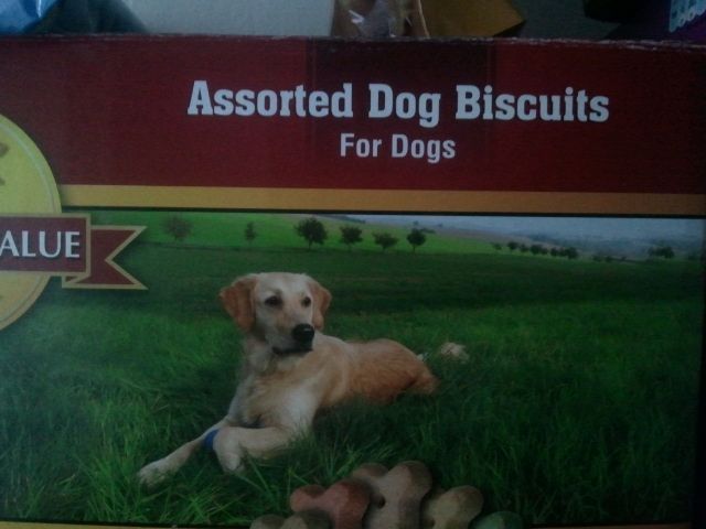 morning picdump 50 pics 18.html - 50 HD Photos | Premium Gallery 2012