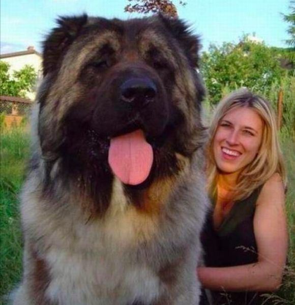 morning picdump 50 pics 18.html - 50 HD Photos | Premium Gallery 2012