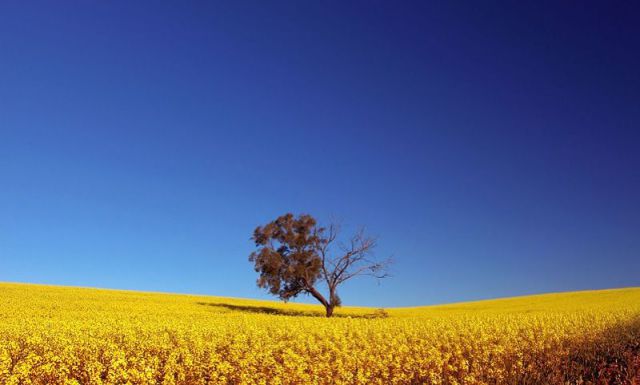 morning picdump 50 pics 5.html - 50 HD Photos | Premium Gallery 2012