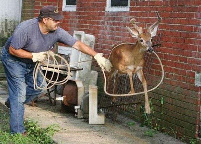 daily picdump 89 pics 38.html - 89 HD Photos | Premium Gallery 2012