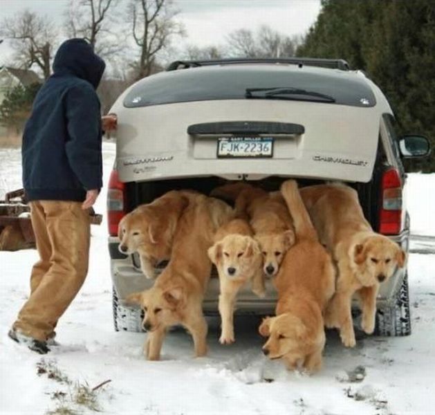 daily picdump 89 pics 38.html - 89 HD Photos | Premium Gallery 2012