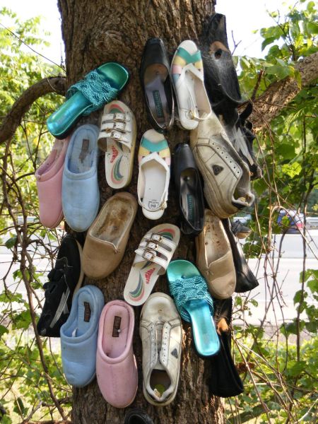 daily picdump 89 pics 38.html - 89 HD Photos | Premium Gallery 2012