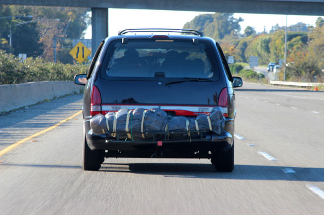 Crazy Is as Crazy Does