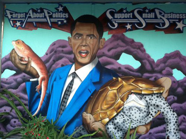 Crazy Is as Crazy Does