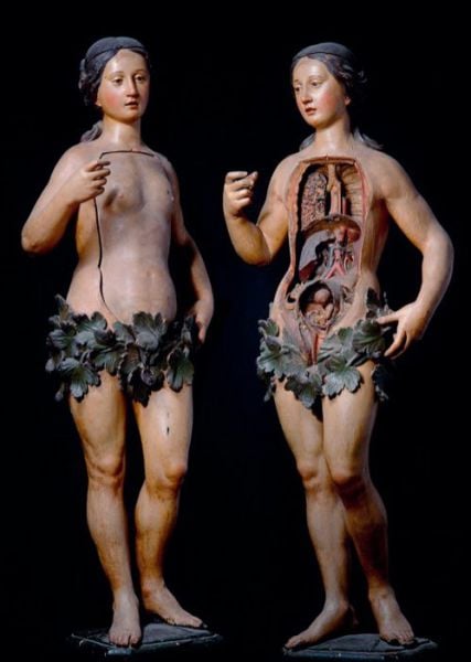 Crazy Is as Crazy Does