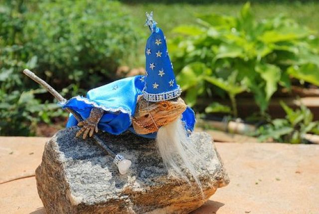 morning picdump 50 pics 43.html - 50 HD Photos | Premium Gallery 2012