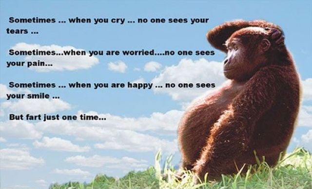 morning picdump 50 pics 43.html - 50 HD Photos | Premium Gallery 2012