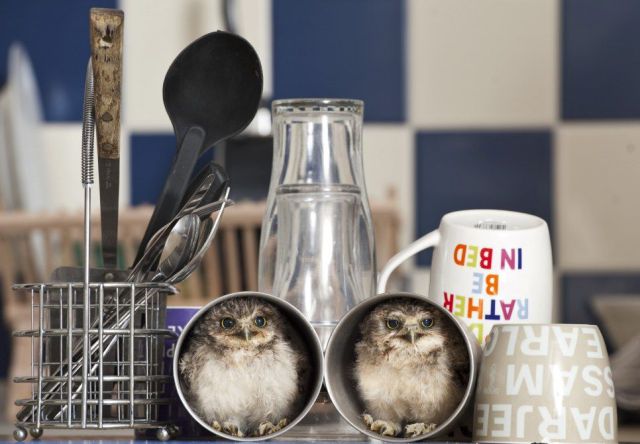 morning picdump 50 pics 43.html - 50 HD Photos | Premium Gallery 2012