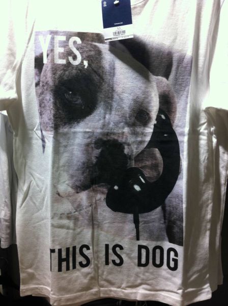 morning picdump 51 pics 22.html - 51 HD Photos | Premium Gallery 2012