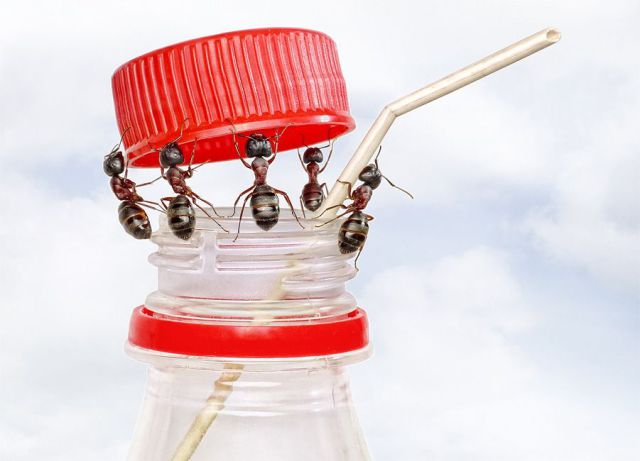 daily picdump 87 pics 29.html - 87 HD Photos | Premium Gallery 2012