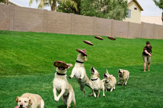 daily picdump 87 pics 29.html - 87 HD Photos | Premium Gallery 2012