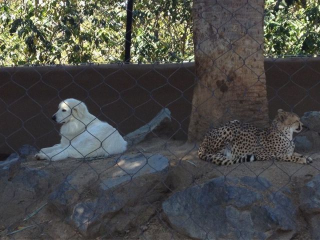 daily picdump 87 pics 29.html - 87 HD Photos | Premium Gallery 2012