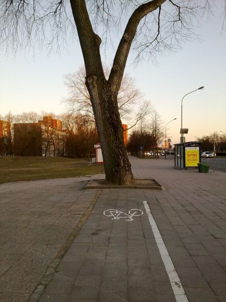 morning picdump 52 pics 8.html - 52 HD Photos | Premium Gallery 2012