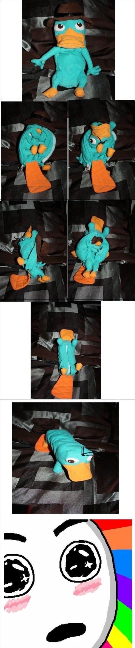 morning picdump 52 pics 8.html - 52 HD Photos | Premium Gallery 2012