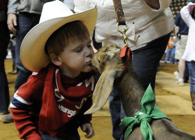 daily picdump 87 pics 29.html - 87 HD Photos | Premium Gallery 2012