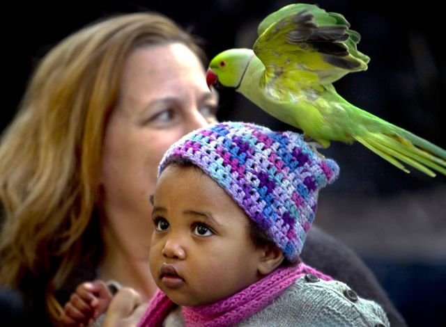 daily picdump 87 pics 29.html - 87 HD Photos | Premium Gallery 2012