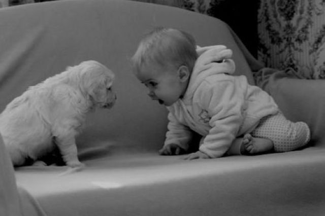 daily picdump 87 pics 34.html - 87 HD Photos | Premium Gallery 2012