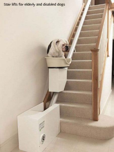 daily picdump 87 pics 34.html - 87 HD Photos | Premium Gallery 2012