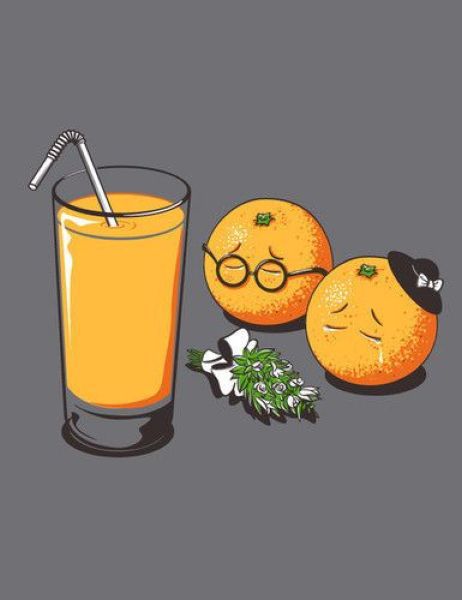 morning picdump 60 pics 29.html - 60 HD Photos | Premium Gallery 2012