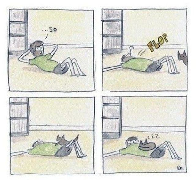 morning picdump 60 pics 29.html - 60 HD Photos | Premium Gallery 2012