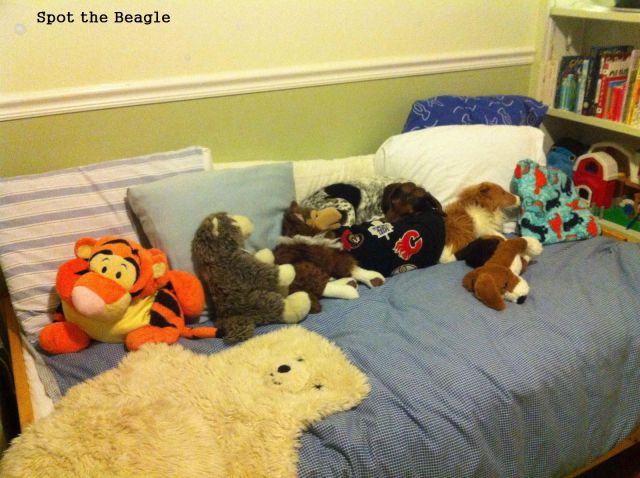 morning picdump 60 pics 29.html - 60 HD Photos | Premium Gallery 2012